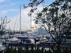 Reflections At Keppel Bay (D4), Condominium #461310551